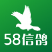 58信鸽