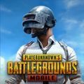 pubg国际服手游下载地铁逃生 正版