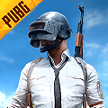 pubg国际服 2024官方正版