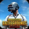 pubg国际服 下载最新版本2024