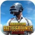 pubg mobile 国际服安卓下载更新