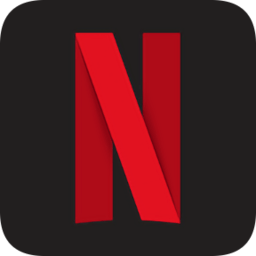 Netflix 电视版