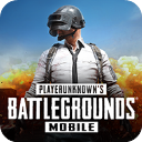 PUBG 手游下载