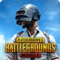 PUBG MOBILE(国际服)