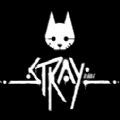 stray猫咪