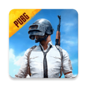 pubg 中文版