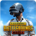 地铁逃生国际服 下载pubg官方版