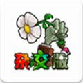 植物大战僵尸杂交版 2.2安卓版