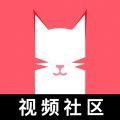 猫咪app视频 免费下载