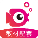 鲤鱼辅导app