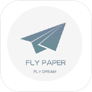 paper fly